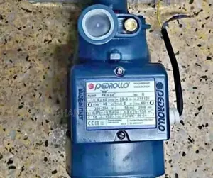 Pedrollo 0.5 HP Water Pump