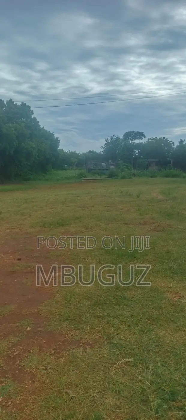 Prime 2 Acres - 2nd Row to Kikambala Beach - 1