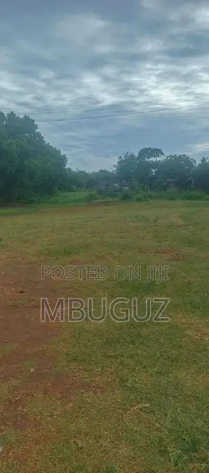 Prime 2 Acres - 2nd Row to Kikambala Beach