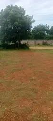Prime 2 Acres - 2nd Row to Kikambala Beach - 4