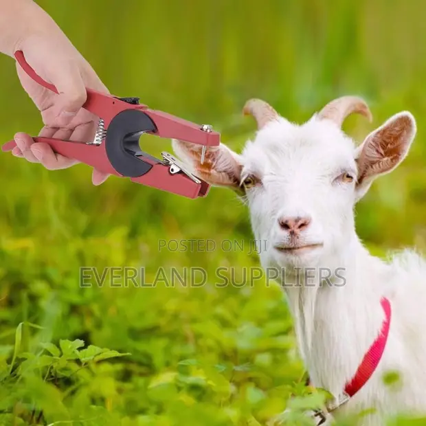 Precision Ear Tag Applicator - 1