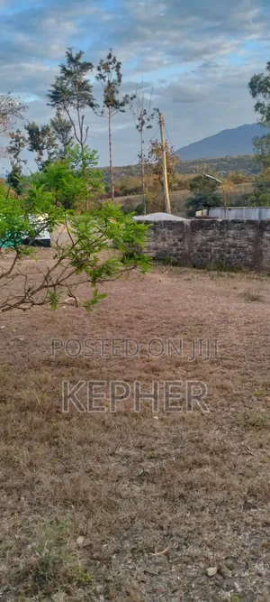 50x100 Plot for Sale, Maguguni, Thika