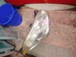 Toyota Wish 2005 Headlight (Non-Xenon) - 3