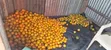 Sweet & Juicy Fruits - 5 Pieces KES 100, 8 Pieces KES 200 - 2
