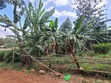Prime 100x100 Plot for Sale in Ngong - 2