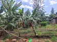 Prime 100x100 Plot for Sale in Ngong - 3
