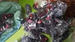 Rubber Bullet Sneakers - Brand New - 2