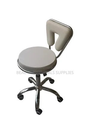 Professional Stool with Back Rest