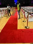 Executive Presidential Runner Carpet - 2