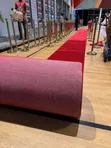 Executive Presidential Runner Carpet - 3