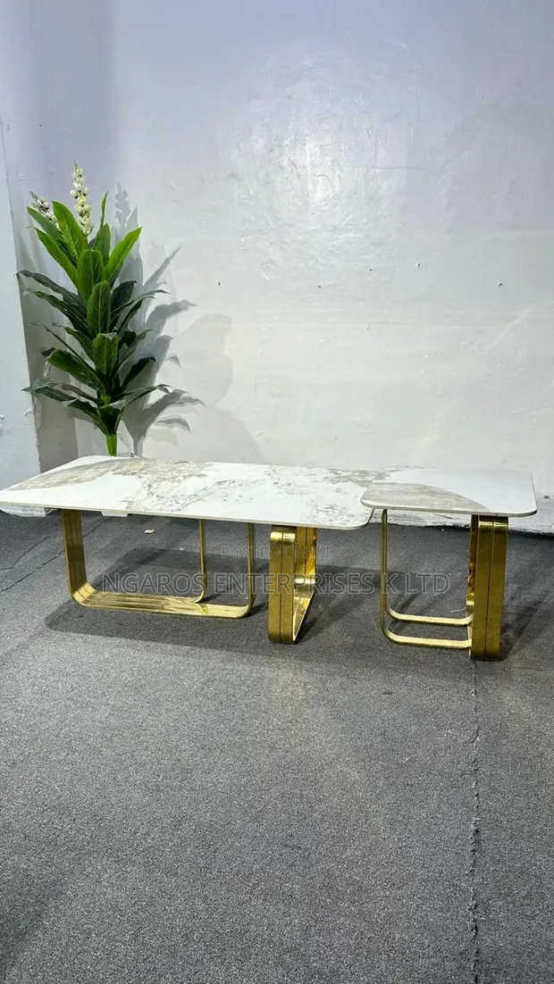 Imported Modern Coffee Table - 1