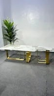 Imported Modern Coffee Table - 1