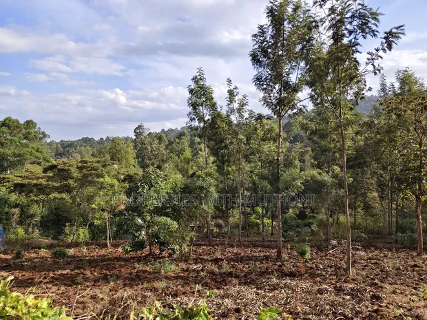 1 Acre Land for Sale in Upper Matasia, Ngong - 1