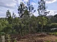 Eka 1 ya Ardhi Inauzwa Upper Matasia, Ngong - 4