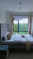 Executive Studio Apartment Along Kiambu Road - 1