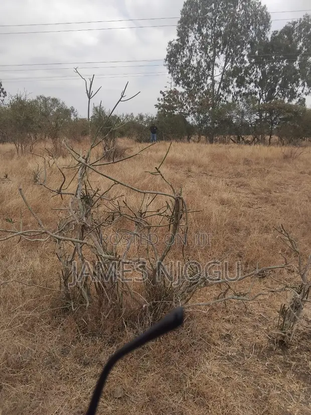 Juja Farm Residential Plot for Sale - 1