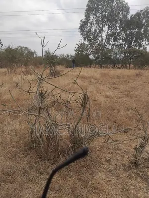Juja Farm Residential Plot for Sale