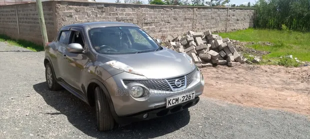 Nissan Juke 2011 Gray - 1