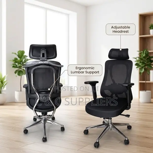 Executive Orthopedic Lumbar Support Office Chair - 1