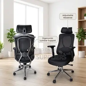 Executive Orthopedic Lumbar Support Office Chair