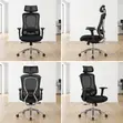 Executive Orthopedic Lumbar Support Office Chair - 2