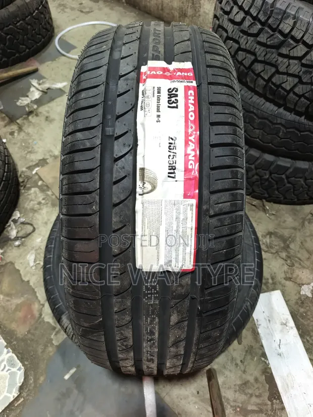 Tairi Mpya Chaoyang 215/55R17 - 1