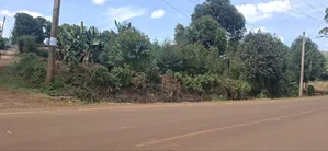 100x100 Plot for Sale - Muguga Kerwa, Kikuyu