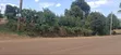 100x100 Plot for Sale - Muguga Kerwa, Kikuyu - 1