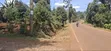 100x100 Plot for Sale - Muguga Kerwa, Kikuyu - 2