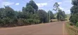 100x100 Plot for Sale - Muguga Kerwa, Kikuyu - 4