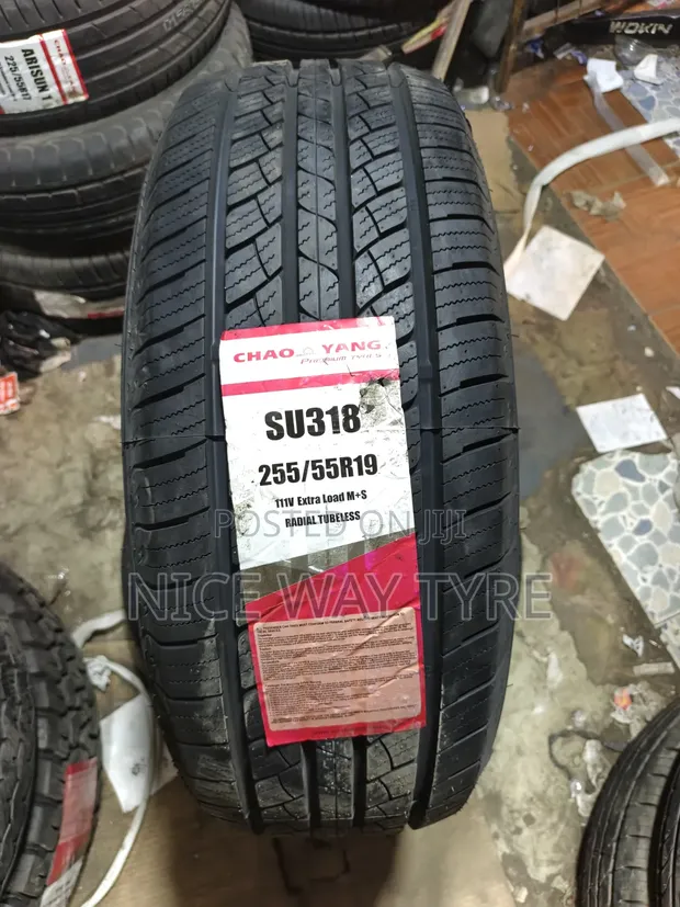 255/55R19 Chaoyang Tyres - 1
