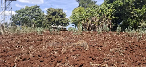 50x100 Residential Plot for Sale - Muguga Thamanda, Kikuyu - 1