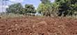 50x100 Residential Plot for Sale - Muguga Thamanda, Kikuyu - 1