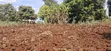 50x100 Residential Plot for Sale - Muguga Thamanda, Kikuyu - 4