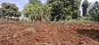 50x100 Residential Plot for Sale - Muguga Thamanda, Kikuyu - 5