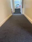 Dark Grey Delta VIP Wall-to-Wall Carpet - 1