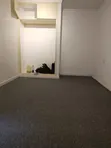Dark Grey Delta VIP Wall-to-Wall Carpet - 3
