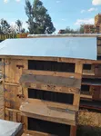 3 Tier Hardwood Chicken House / Rabbit Cage - 2