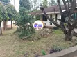 3 Bedroom Bungalow on 1/4 Acre in Nyali Mkomani for Sale - 1