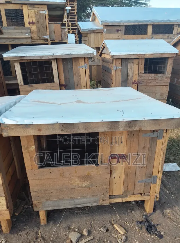 Durable Wooden Dog Kennel - Standard Size - 1