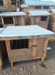Durable Wooden Dog Kennel - Standard Size - 2