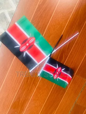 Kenyan Flag - Handheld