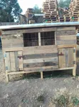 Large Wooden Dog Kennel House - 2 Doors - 1