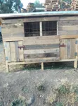 Large Wooden Dog Kennel House - 2 Doors - 2
