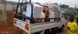 Classic Movers: Transport & Moving Services - 2