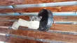 Toyota Sienta Brake Booster - 2