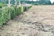 Prime Plots on Kenol Sagana Highway, Makuyu - 1