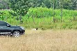 Prime Plots on Kenol Sagana Highway, Makuyu - 2