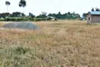 Prime Plots on Kenol Sagana Highway, Makuyu - 3