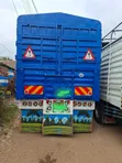 Isuzu FRR 91 Rigid Truck - 2